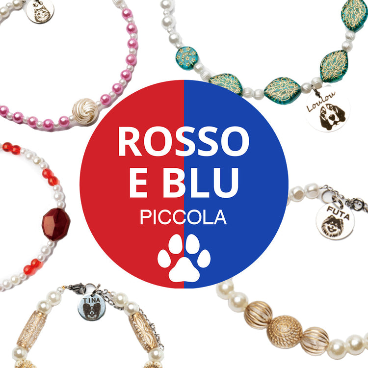 ROSSO E BLU PICCOLA (dognecklace/dogtag/QRキーホルダー)