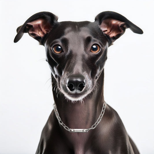 迷子札 ネームプレート ドッグネックレス 犬 ネックレス 首輪 おしゃれ 長持ち 壊れない 丈夫 軽い (ネームタグ ドッグタグ) ペット 刻印 おしゃれ