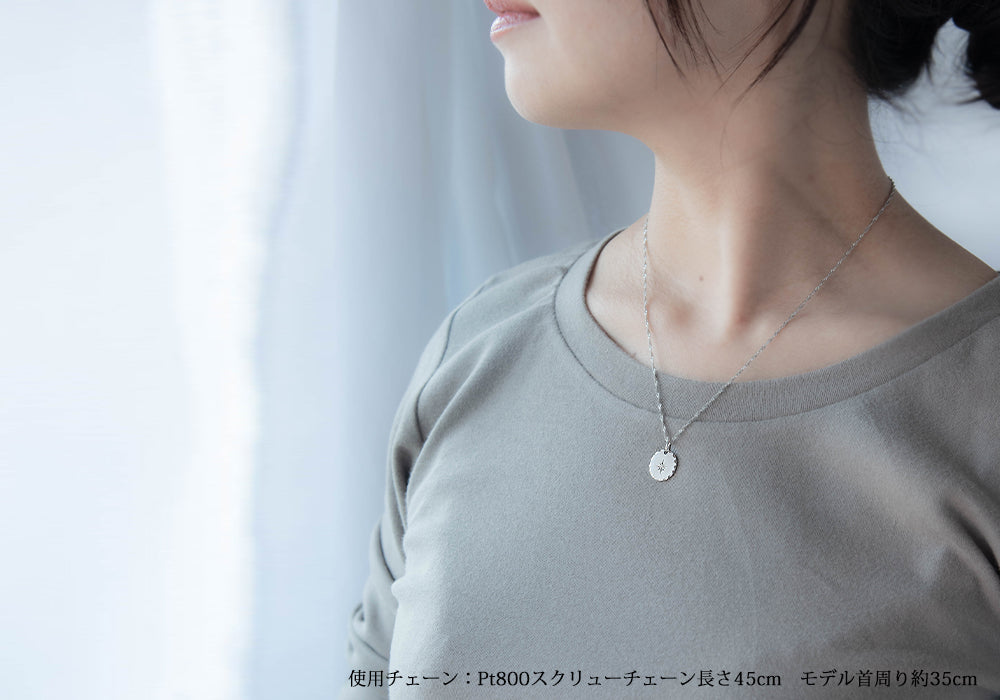 ペンダントトップ プラチナ pt900 ダイヤモンド 八芒星 丸 楕円 コイン お守り ペンダント メンズ レディース 親子 お揃い ベビー プッシュギフト