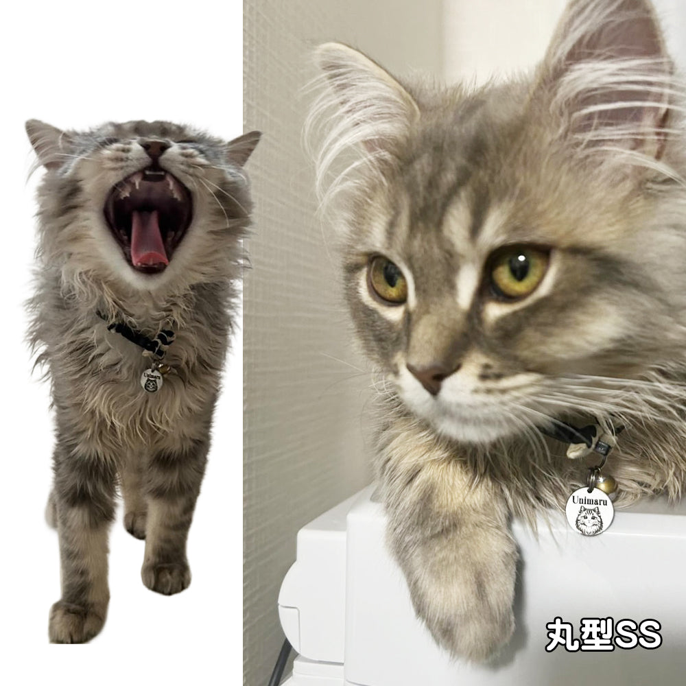 犬 172種・猫 19種 イラスト 迷子札 おしゃれな オリジナル オーダーメイド ネームプレート ネームタグ ドッグタグ うちの子 ステンレス 丸 骨 ハート 軽い