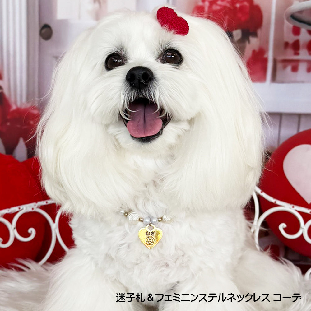 犬 172種・猫 19種 イラスト 迷子札 おしゃれな オリジナル オーダーメイド ネームプレート ネームタグ ドッグタグ うちの子 ステンレス 丸 骨 ハート 軽い