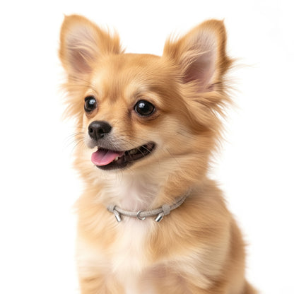 迷子札 チョーカー 犬 ネックレス 猫 3.7g 軽量 家用 室内 つけっぱなし 痛くない 柔らかい パラコード 子犬 成犬 シニア 老犬 首輪 ハゲ 防止 禿げない 負担なし ストレスフリー 洗える 防災 調整可 迷子札対応 チョーカー 首輪はげ おしゃれ かわいい 大型犬 中型犬