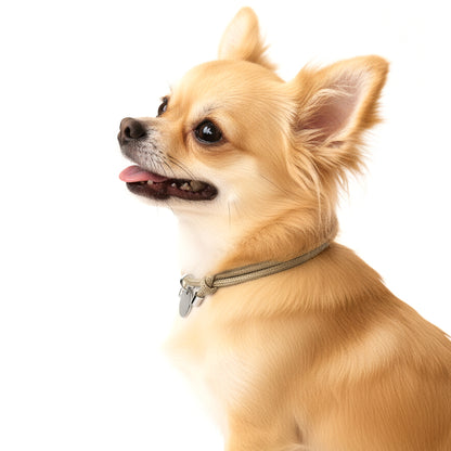 迷子札 チョーカー 犬 ネックレス 猫 3.7g 軽量 家用 室内 つけっぱなし 痛くない 柔らかい パラコード 子犬 成犬 シニア 老犬 首輪 ハゲ 防止 禿げない 負担なし ストレスフリー 洗える 防災 調整可 迷子札対応 チョーカー 首輪はげ おしゃれ かわいい 大型犬 中型犬