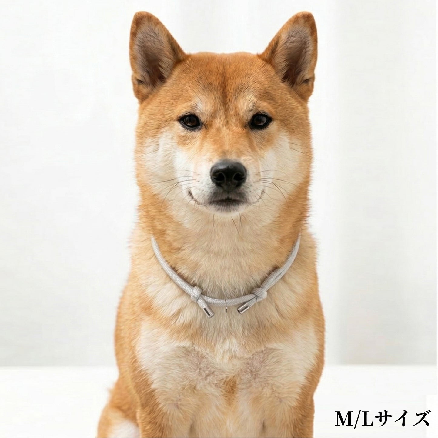 迷子札 チョーカー 犬 ネックレス 猫 3.7g 軽量 家用 室内 つけっぱなし 痛くない 柔らかい パラコード 子犬 成犬 シニア 老犬 首輪 ハゲ 防止 禿げない 負担なし ストレスフリー 洗える 防災 調整可 迷子札対応 チョーカー 首輪はげ おしゃれ かわいい 大型犬 中型犬
