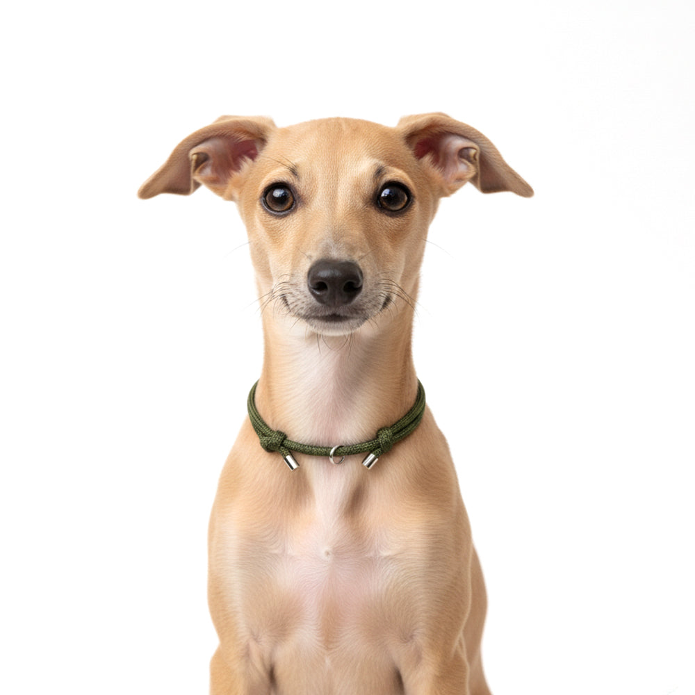 迷子札 チョーカー 犬 ネックレス 猫 3.7g 軽量 家用 室内 つけっぱなし 痛くない 柔らかい パラコード 子犬 成犬 シニア 老犬 首輪 ハゲ 防止 禿げない 負担なし ストレスフリー 洗える 防災 調整可 迷子札対応 チョーカー 首輪はげ おしゃれ かわいい 大型犬 中型犬