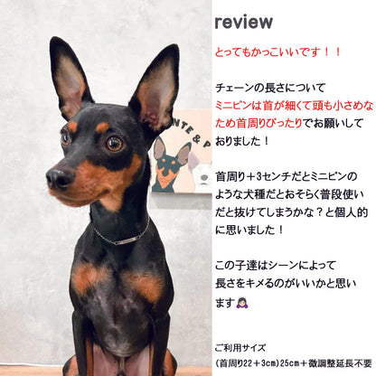 超軽量！2.3ｇドッグネックレス おうち用 リラックス 迷子札 犬 用 ネックレス首輪 ネームプレート (ネームタグ ドッグタグ ドッグ ネックレス) ペット 猫 刻印 ブレスレット おしゃれ