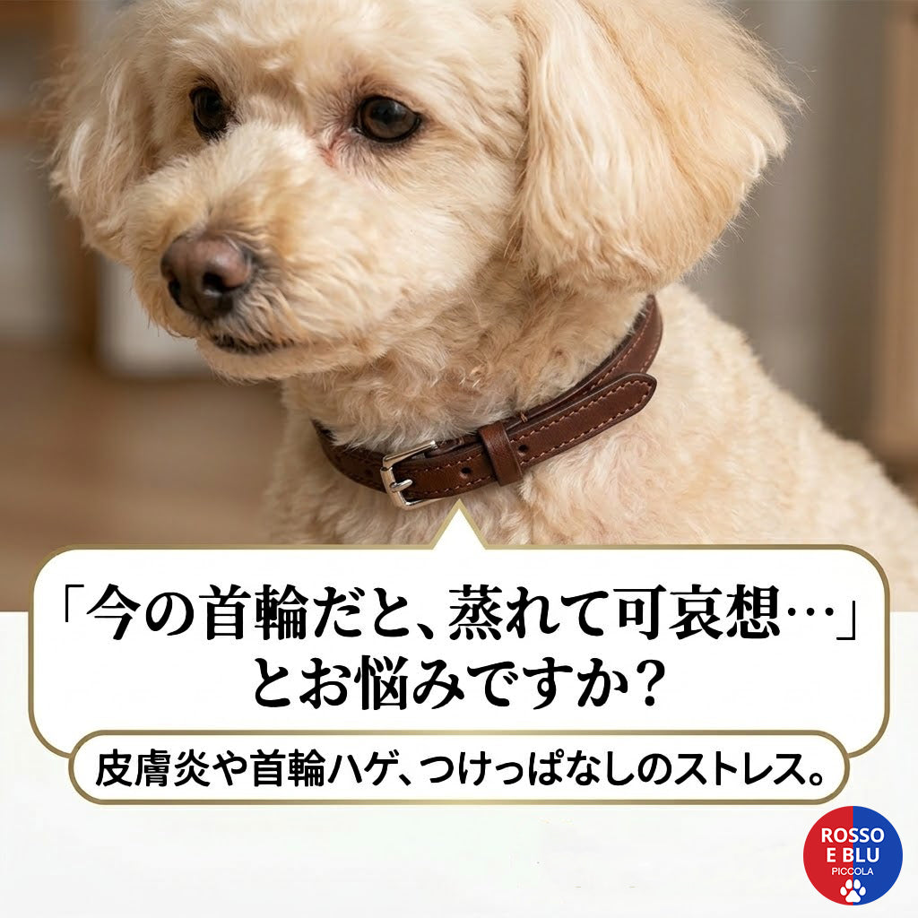 愛犬とおそろいの迷子札ネックレス＆ブレスレット｜軽量・アレルギー