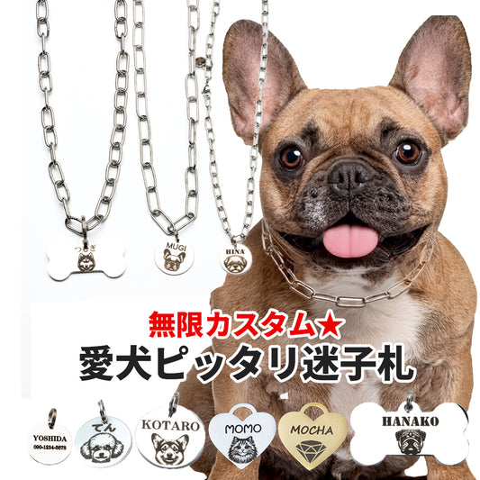 ステンレス製ペットネックレス＆迷子札セット｜愛犬の安全とおしゃれを両立