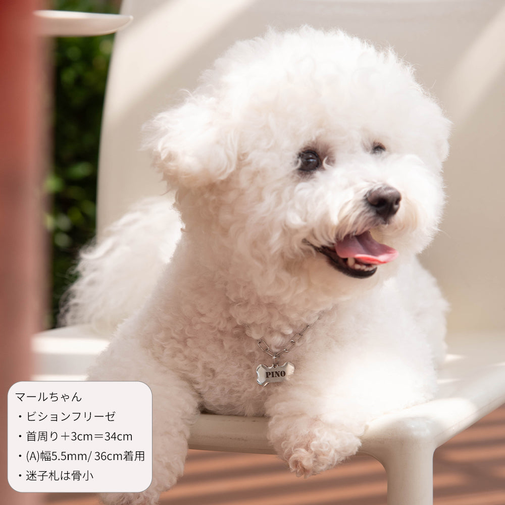 犬用 ペットネックレス＆迷子札セット ドッグネーム チョーカー｜愛犬の安全とおしゃれを両立 ステンレス
